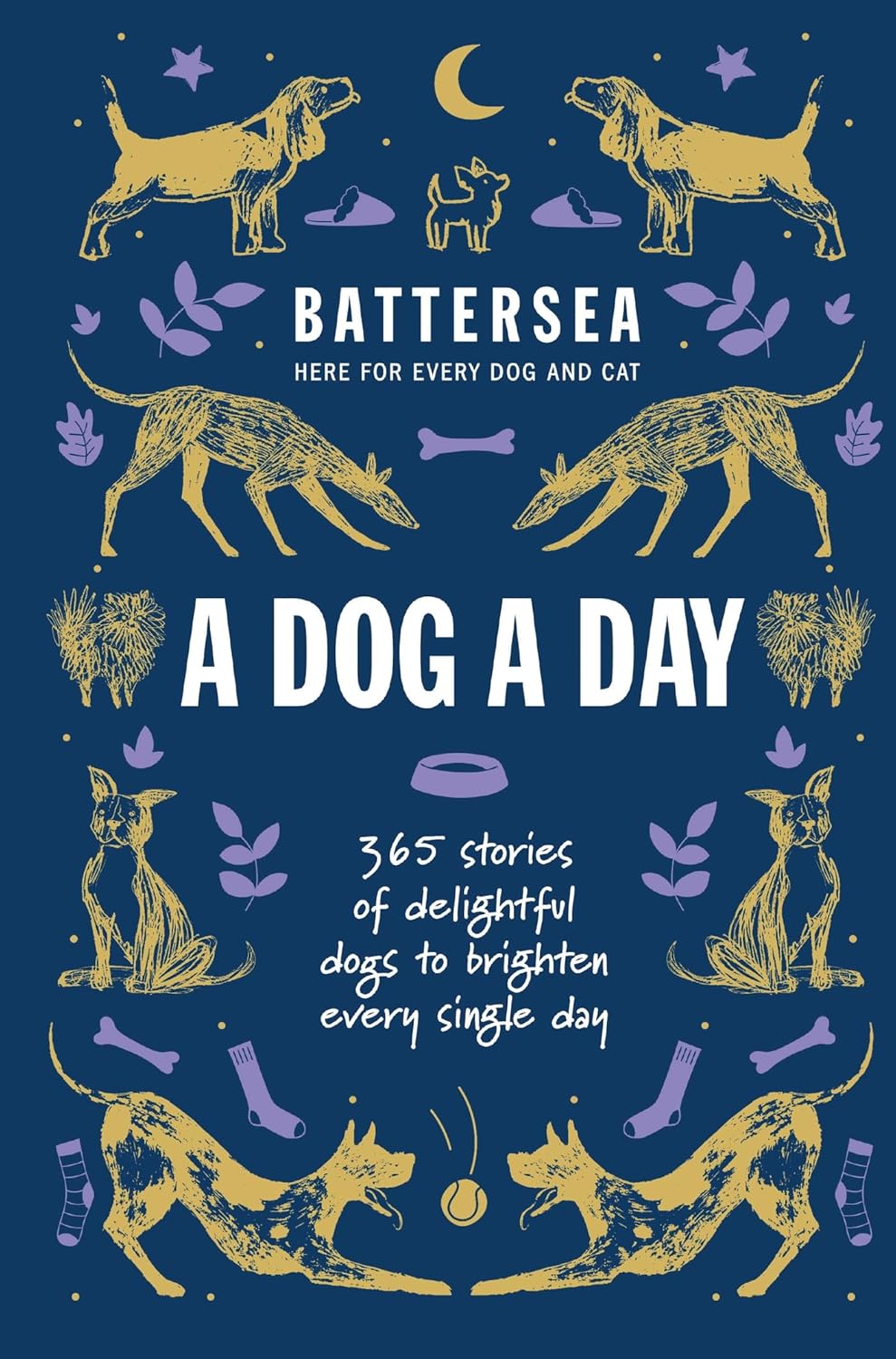 A Dog a Day Book 66 Books