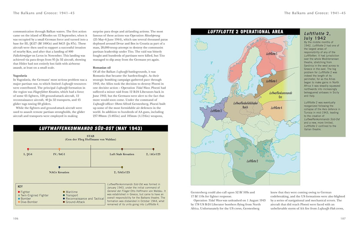 German Luftwaffe in WWII Book Amber