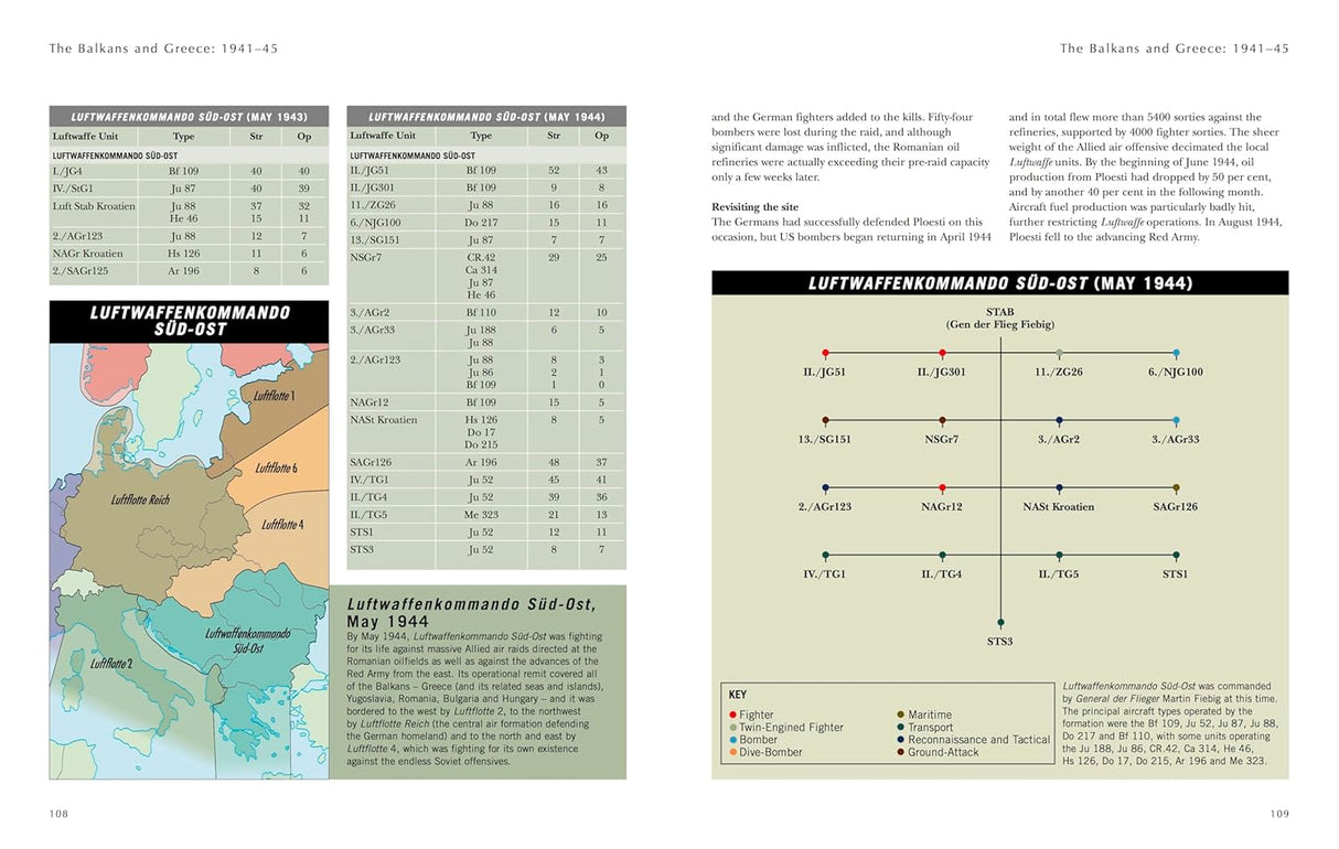 German Luftwaffe in WWII Book Amber