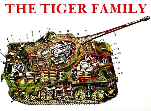 The Tiger Family Book Gardners