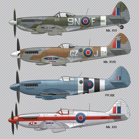 Spitfire Greeting Card