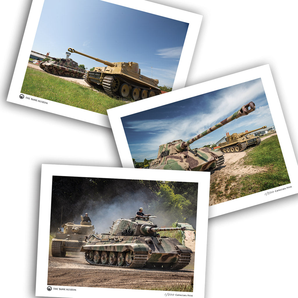 Limited Edition Running Tigers Art Print: 3 for £30 Wall Art Star Editions