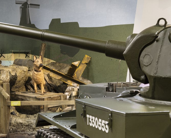 Dog Biscuits Pouch Food Farrah's