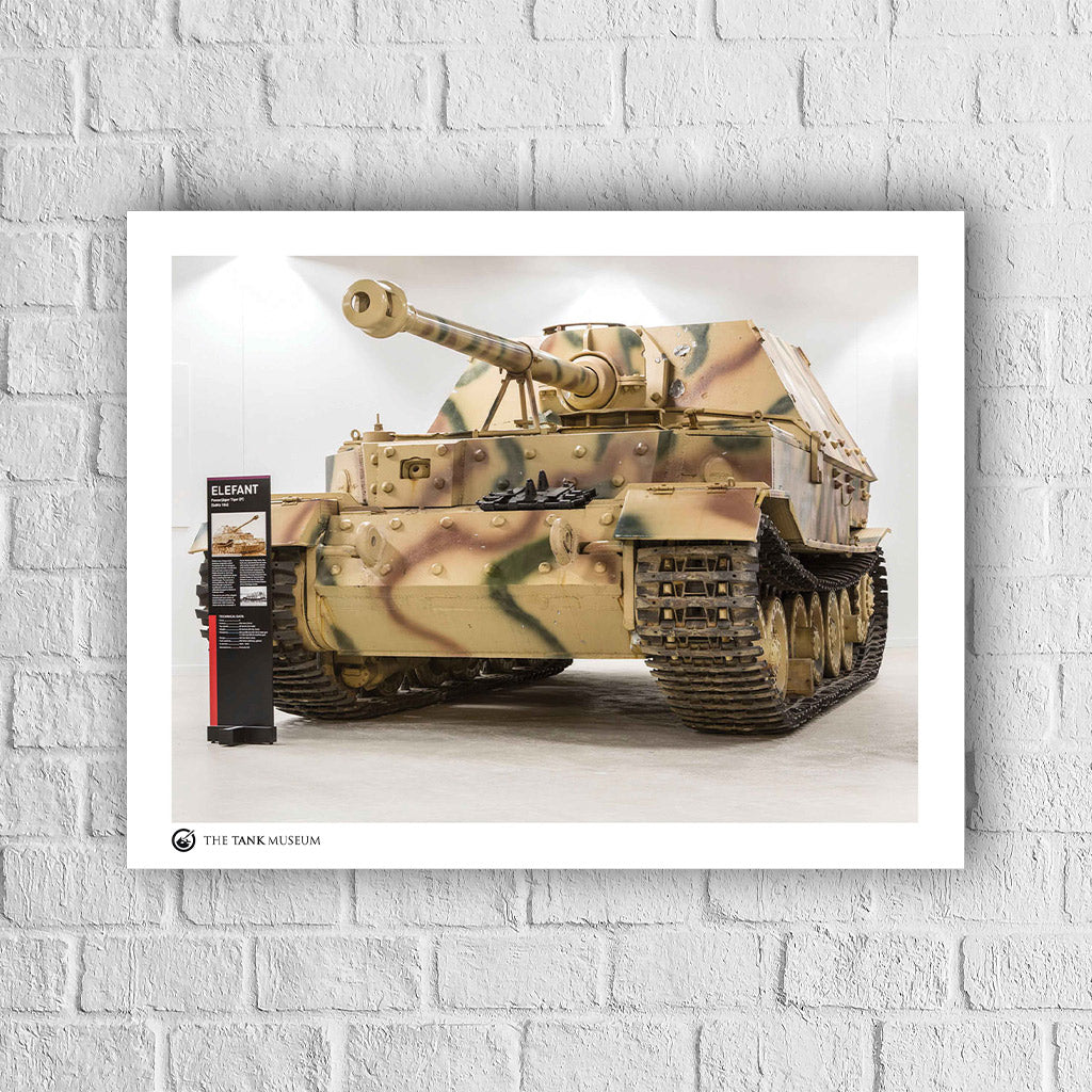 Art Print: The Tiger Collection Exhibition: Elephant Wall Art On Demand Star Editions