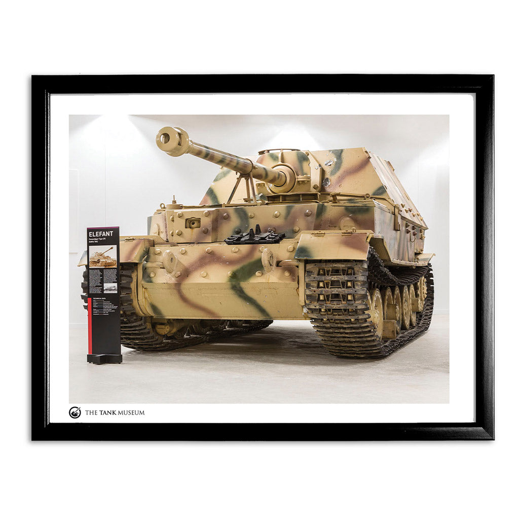 Art Print: The Tiger Collection Exhibition: Elephant Wall Art On Demand Star Editions 11x14" With Black Frame