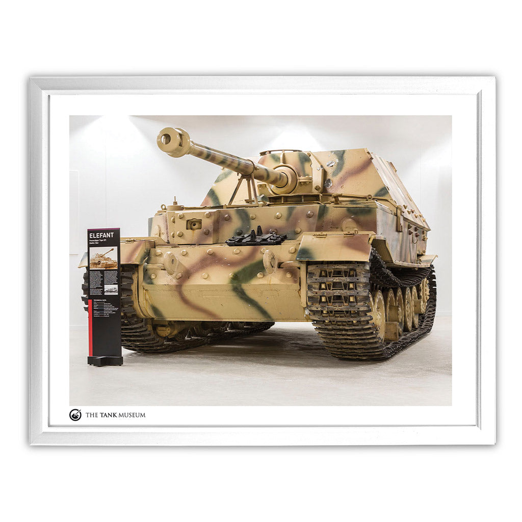 Art Print: The Tiger Collection Exhibition: Elephant Wall Art On Demand Star Editions 11x14" With White Frame