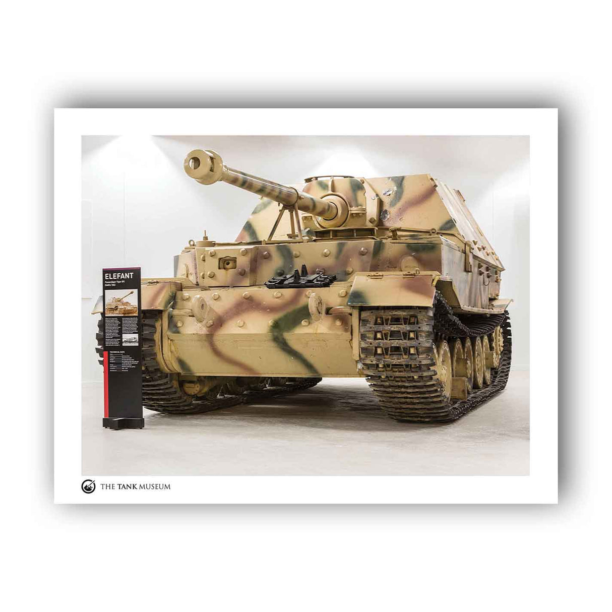 Art Print: The Tiger Collection Exhibition: Elephant Wall Art On Demand Star Editions 11x14" No Frame