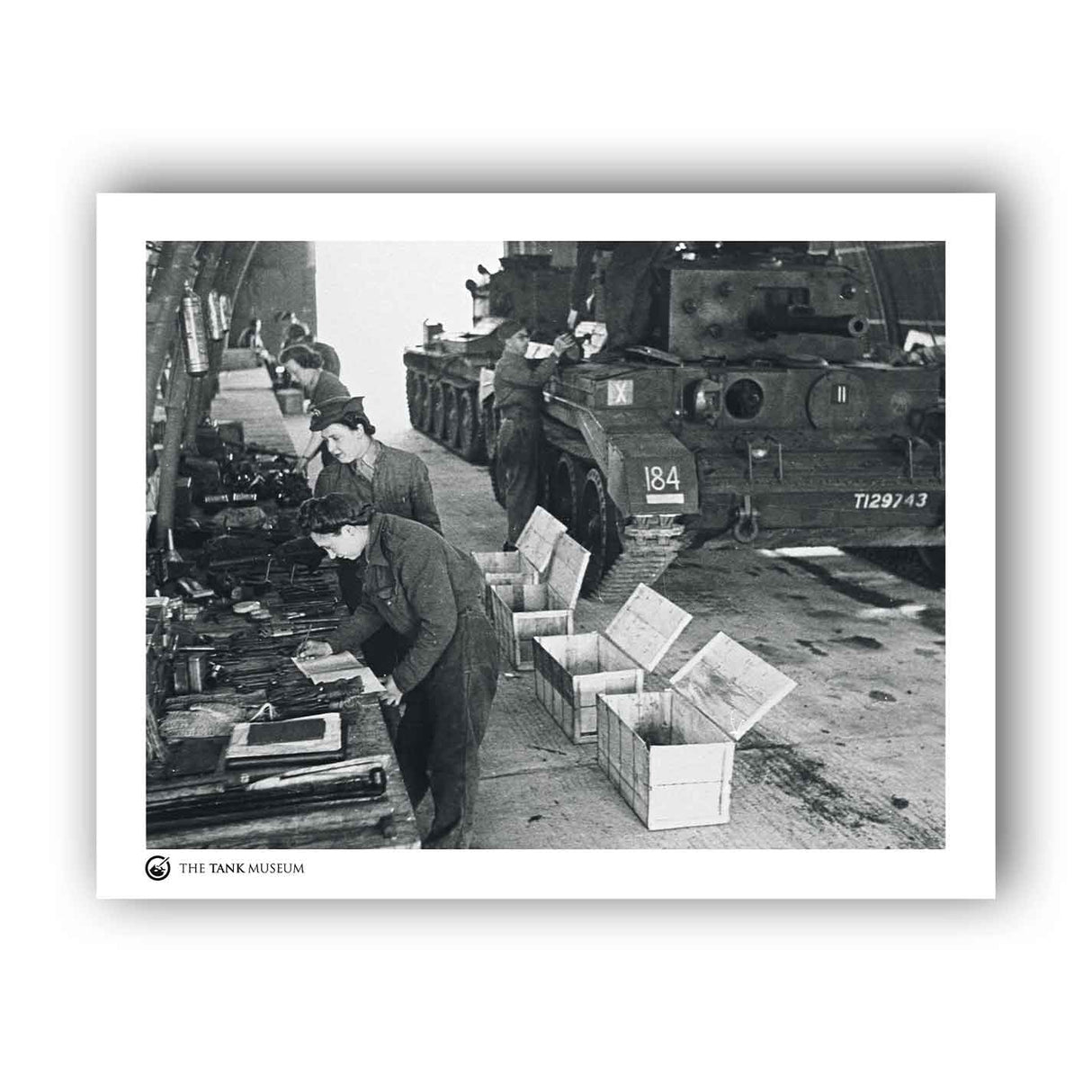 Art Print: Cavalier and ATS Wall Art On Demand Star Editions 11x14" No Frame