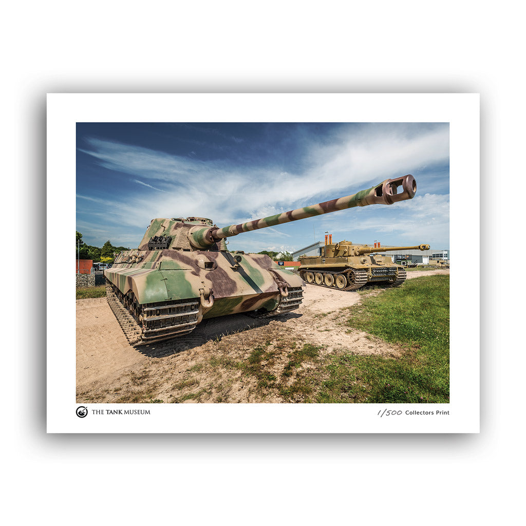 Limited Edition Running Tigers Art Print: Tiger II in Foreground Wall Art Star Editions