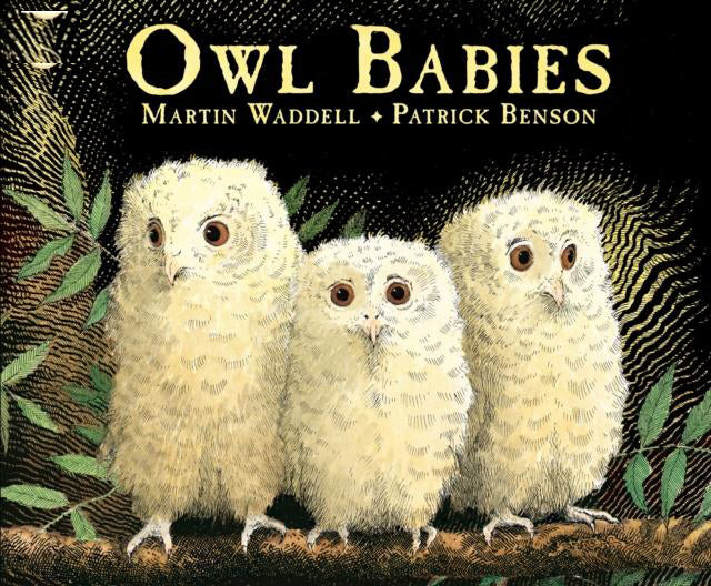 Owl Babies Book 66 Books
