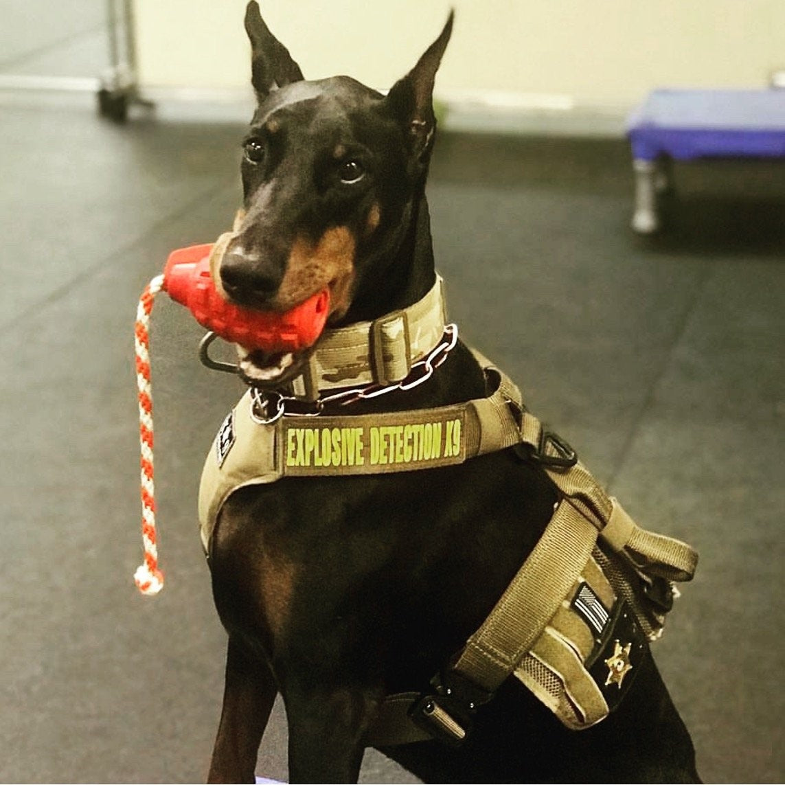 K-9 Grenade Dog Toy With Rope Homeware CL Distribrution
