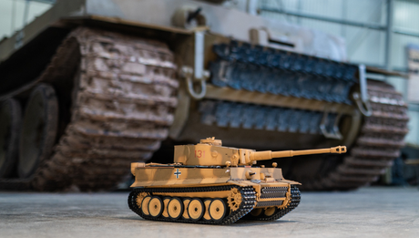 Tiger Model Collection