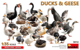 MiniArt 1/35 Ducks & Geese Scale Model MiniArt