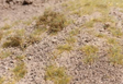 North Africa Rocky Terrain Model Accessories Albion Alloys Ltd