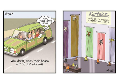 Animal Instincts - Senior Moments Book Boon Books