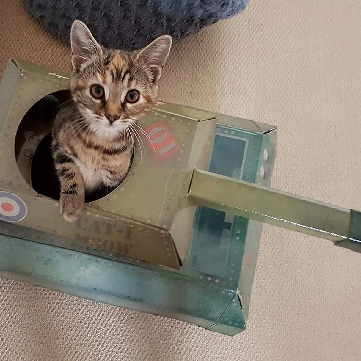Cat Tank Playhouse Homeware [variant_option4]