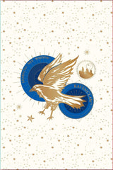 Harry Potter: Hogwarts Constellation Card Portfolio Set: Set of 20 Cards Stationery 66 Books