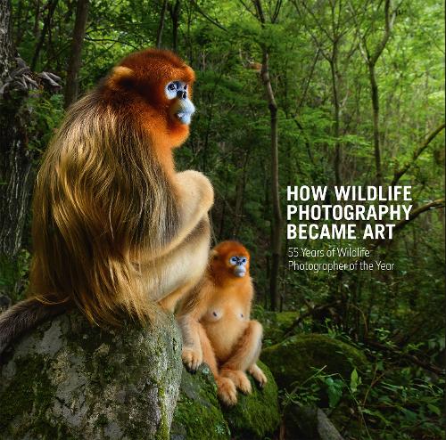 How Wildlife Photography Became Art : 55 Years of Wildlife Photographer of the Year