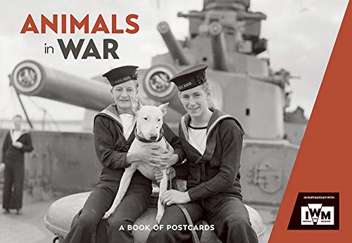 Animals in War Postcard Book