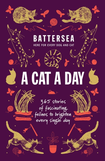 Battersea Dogs and Cats Home - A Cat a Day : 365 stories of fascinating felines to brighten every day CHECK Book [variant_option4]