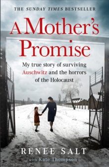 A Mothers Promise Book 66 Books