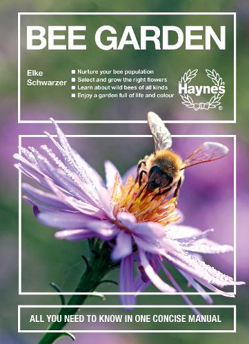 Bee Garden Haynes Manual