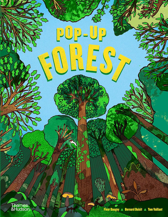 Pop-Up Forest Book 66 Books