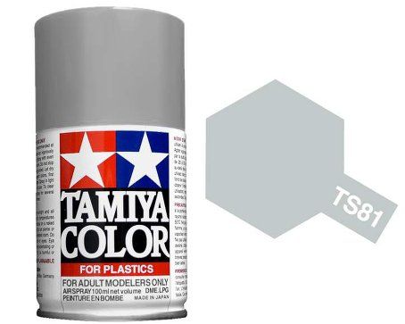 Tamiya 100ml Spray Paint : TS-40 to TS-95 Model Paint TS-81 Royal Light Grey [variant_option4]