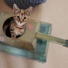 Load image into Gallery viewer, Cat Tank Playhouse
