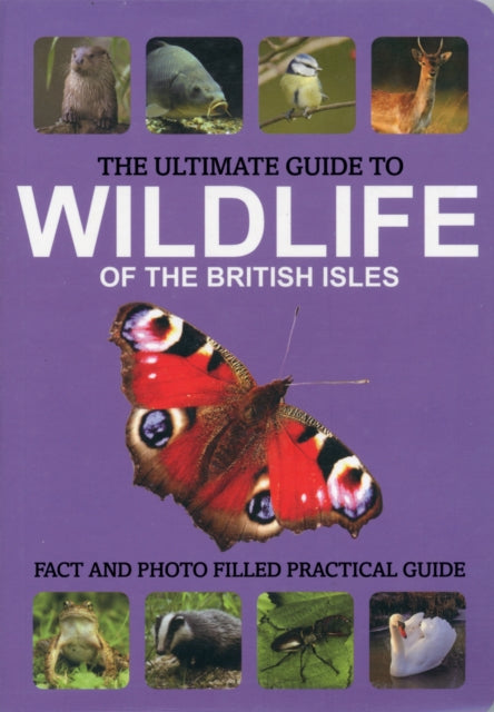 The Ultimate Guide to Wildlife of the British Isles