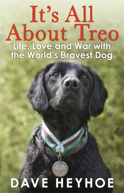 It's All About Treo: Life and War with the World's Bravest Dog