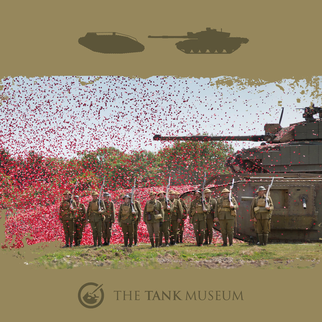 Tank Museum Greetings Card : Poppy Burst