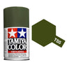 Tamiya 100ml Spray Paint : TS  -1 to TS-38